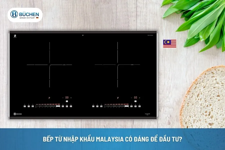 Bếp Từ Nhập Khẩu Malaysia Có Đáng Để Đầu Tư?