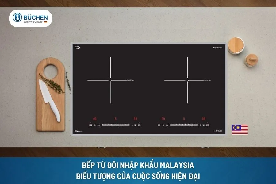 Bếp Từ Đôi Nhập Khẩu Malaysia: Biểu Tượng Của Cuộc Sống Hiện Đại