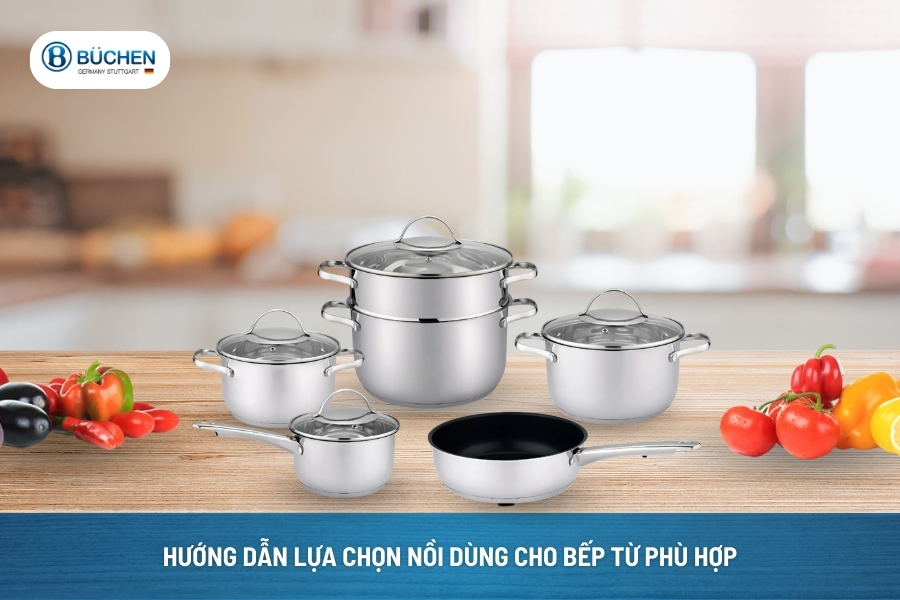 Hướng Dẫn Lựa Chọn Nồi Dùng Cho Bếp Từ Phù Hợp