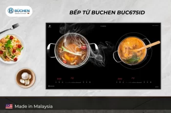 Bếp Từ Made in Malaysia: Nấu Nướng Dễ Dàng, Tiết Kiệm Thời Gian