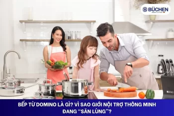 Bếp Từ Domino