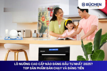 lò nướng cao cấp