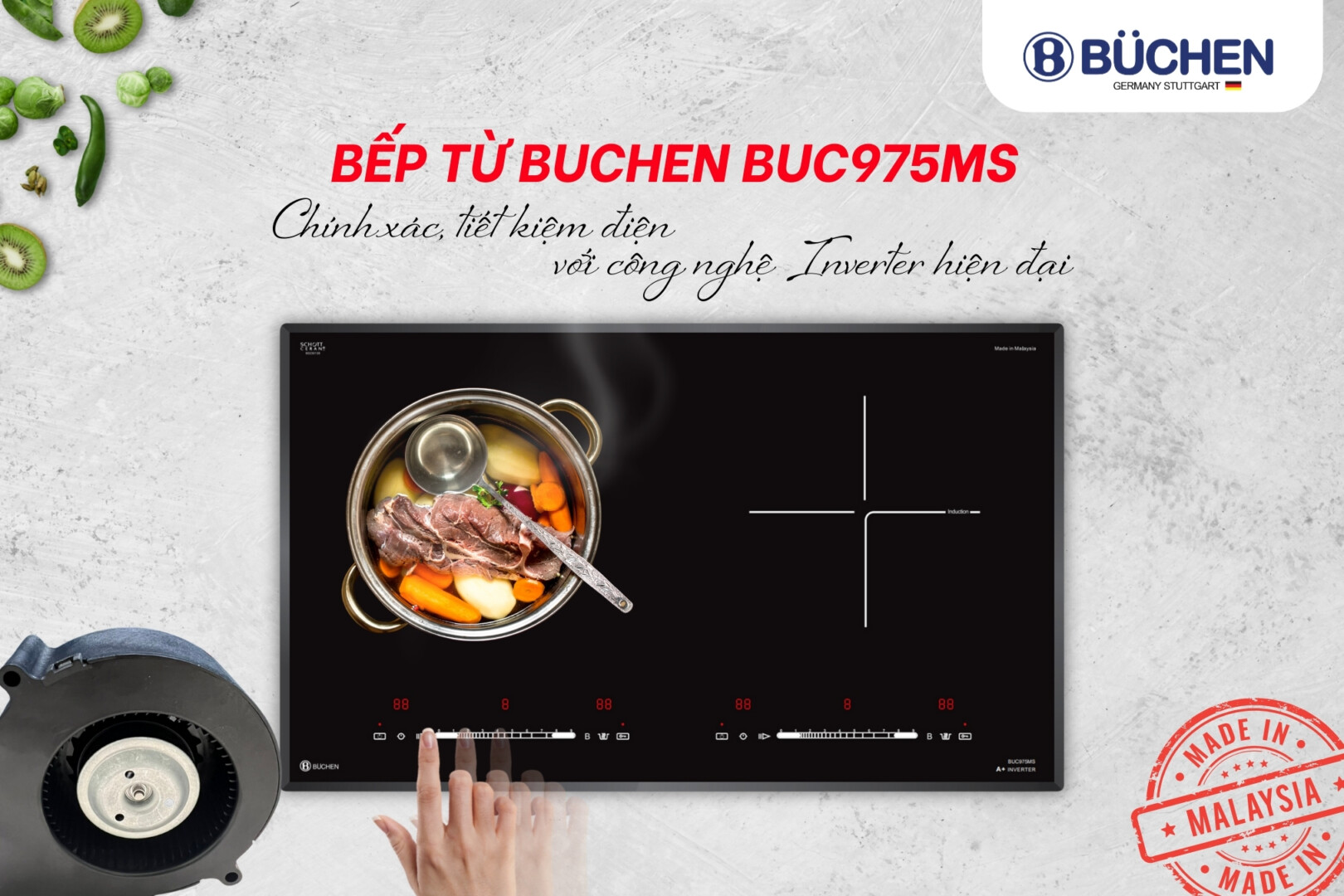 bếp từ inverter dùng quạt gì