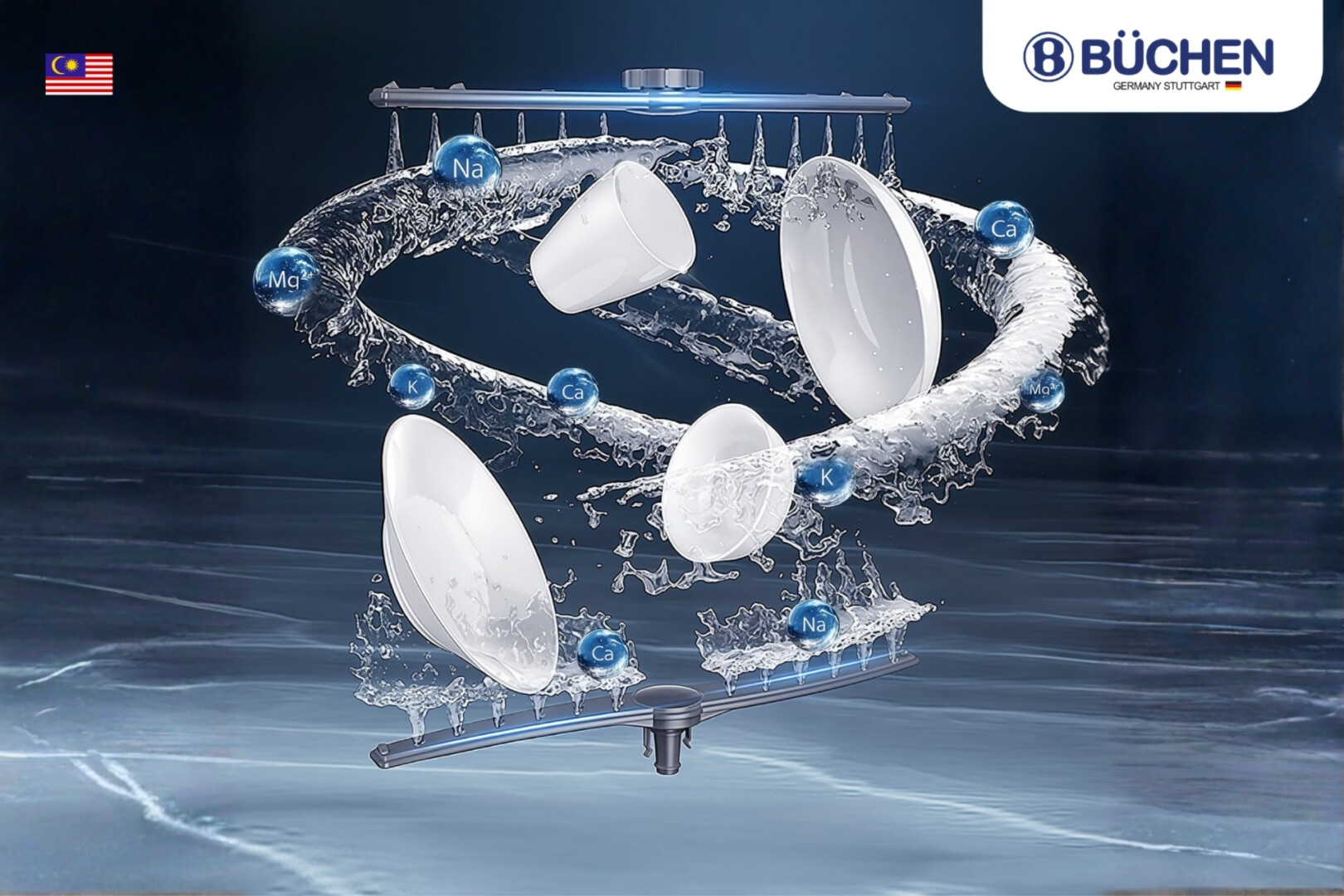 chương trình rửa chính