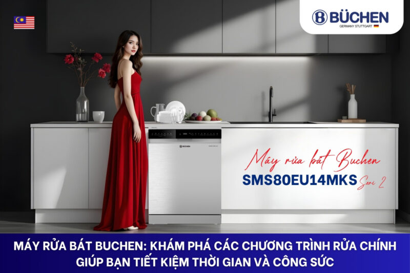 chương trình rửa chính