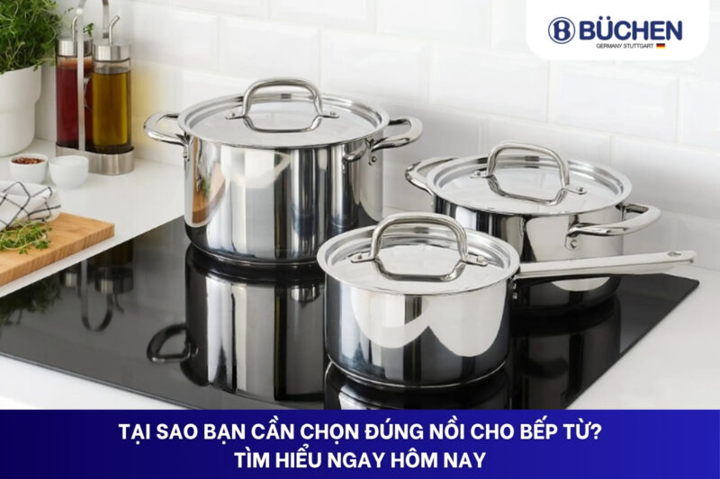 nồi cho bếp từ